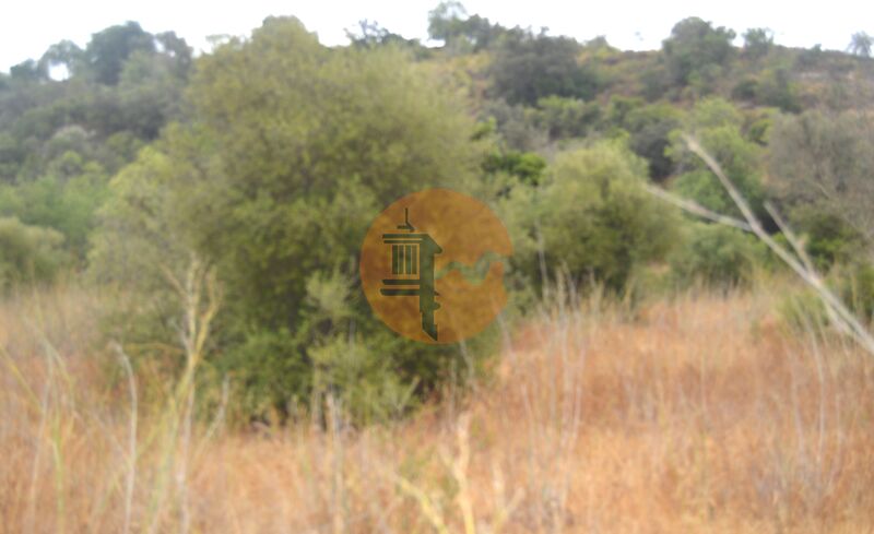 Land, For Sale Land, For Sale