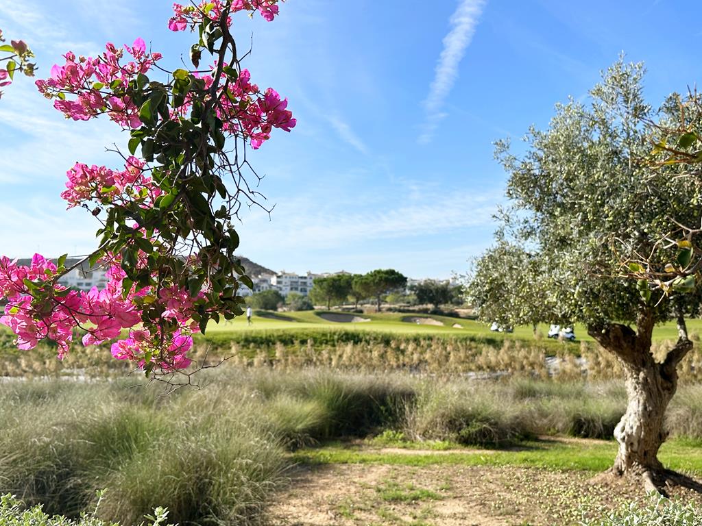 2 Bed, 1 Bath, ApartmentFor Sale, Hacienda Riquelme Golf Resort, Murcia