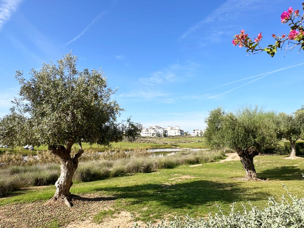 2 Bed, 1 Bath, ApartmentFor Sale, Hacienda Riquelme Golf Resort, Murcia