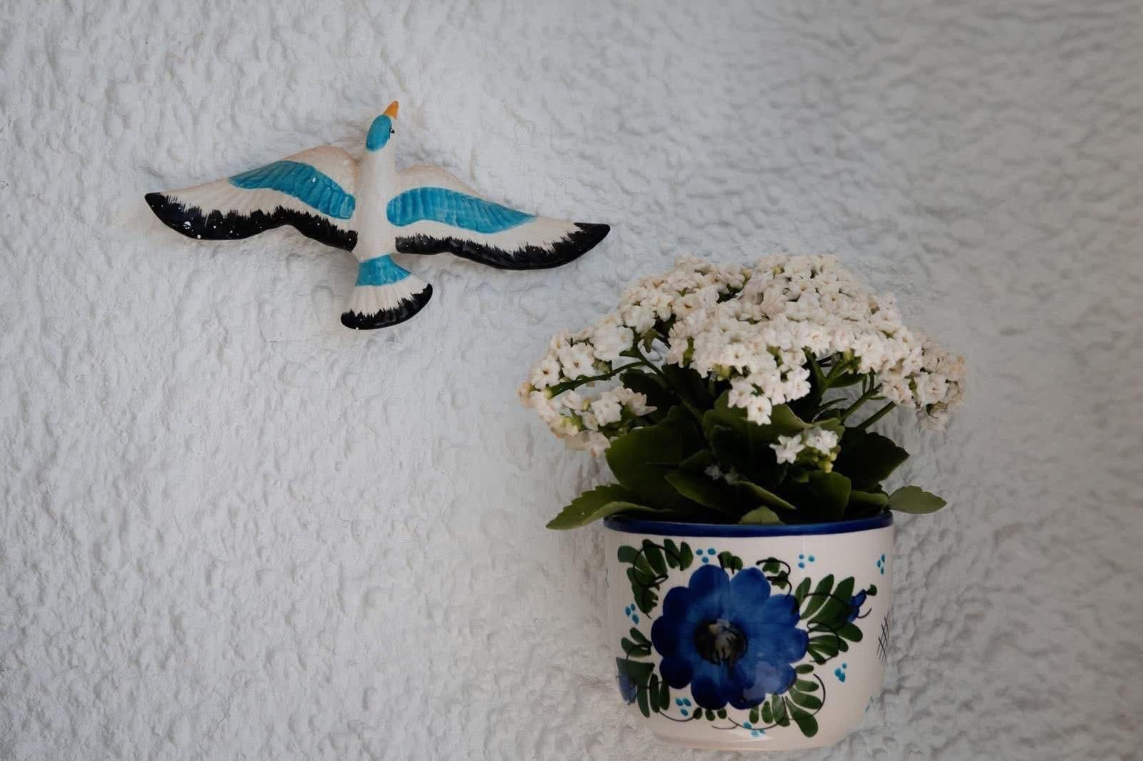 1 Bed, 1 Bath, HouseFor Sale, Cabo Cervera, Alicante