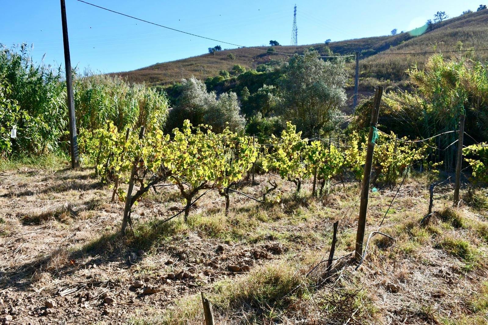 3 Bed, 1 Bath, HouseFor Sale, Portimao, Faro, 8500-132