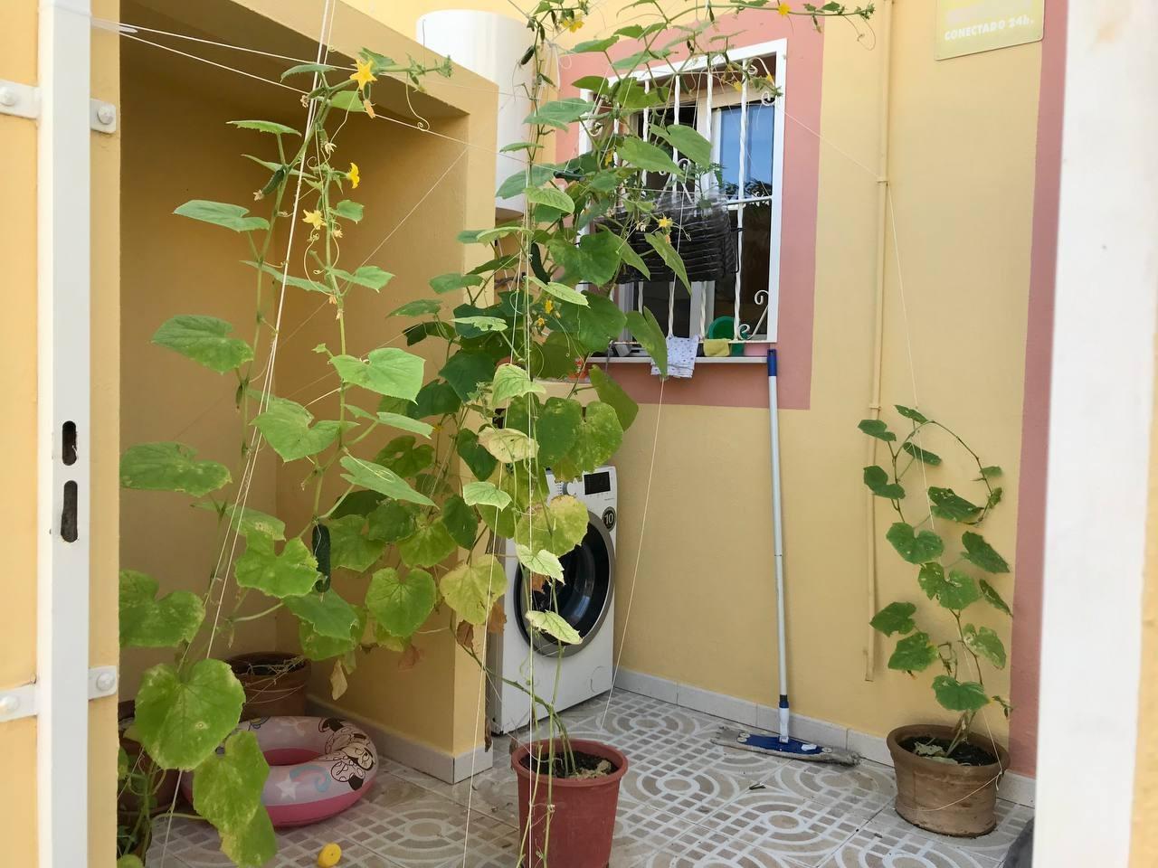 2 Bed, 2 Bath, HouseFor Sale, Orihuela Costa, Alicante