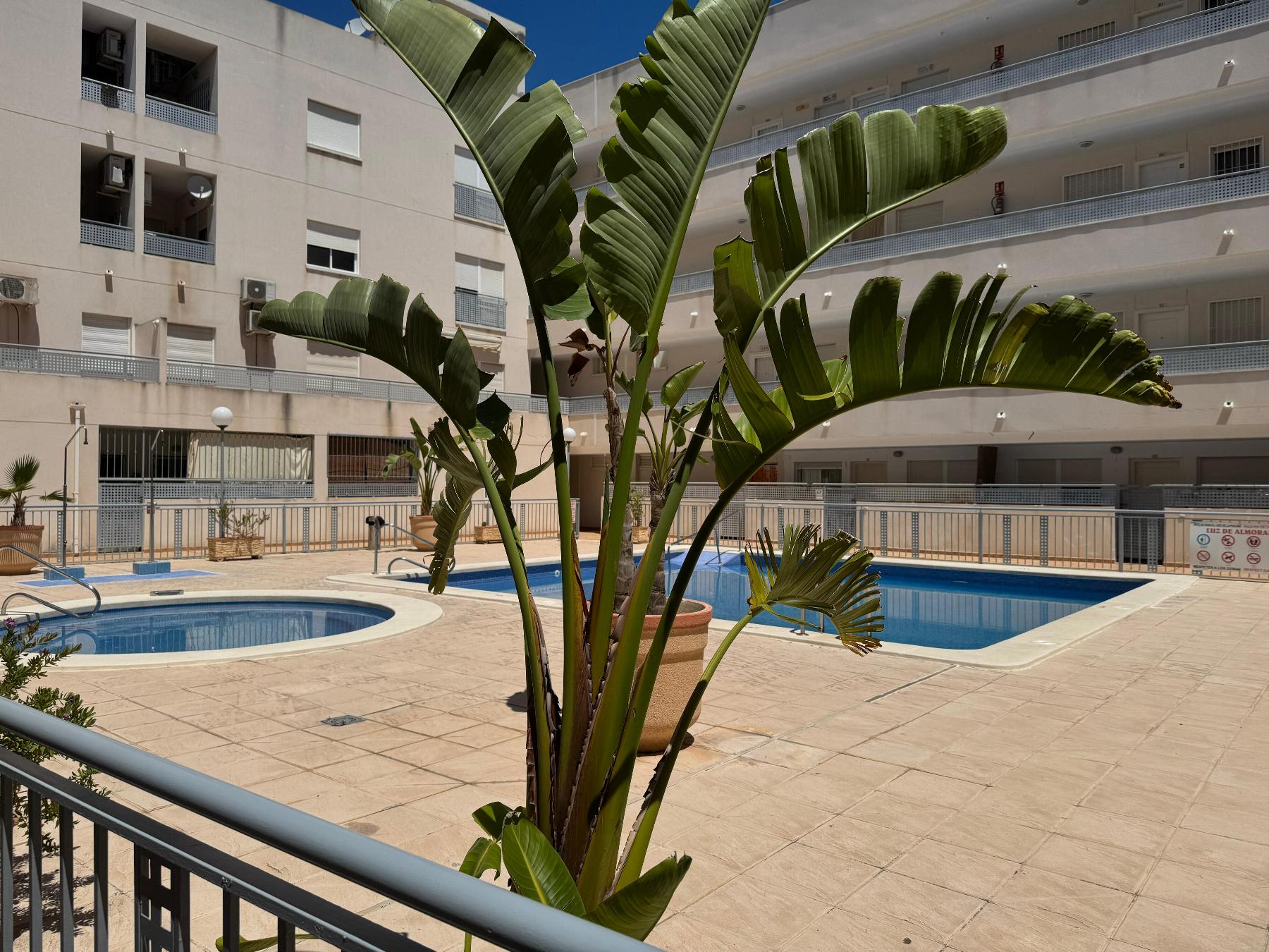 2 Bed, 1 Bath, ApartmentFor Sale, Almoradi, Alicante