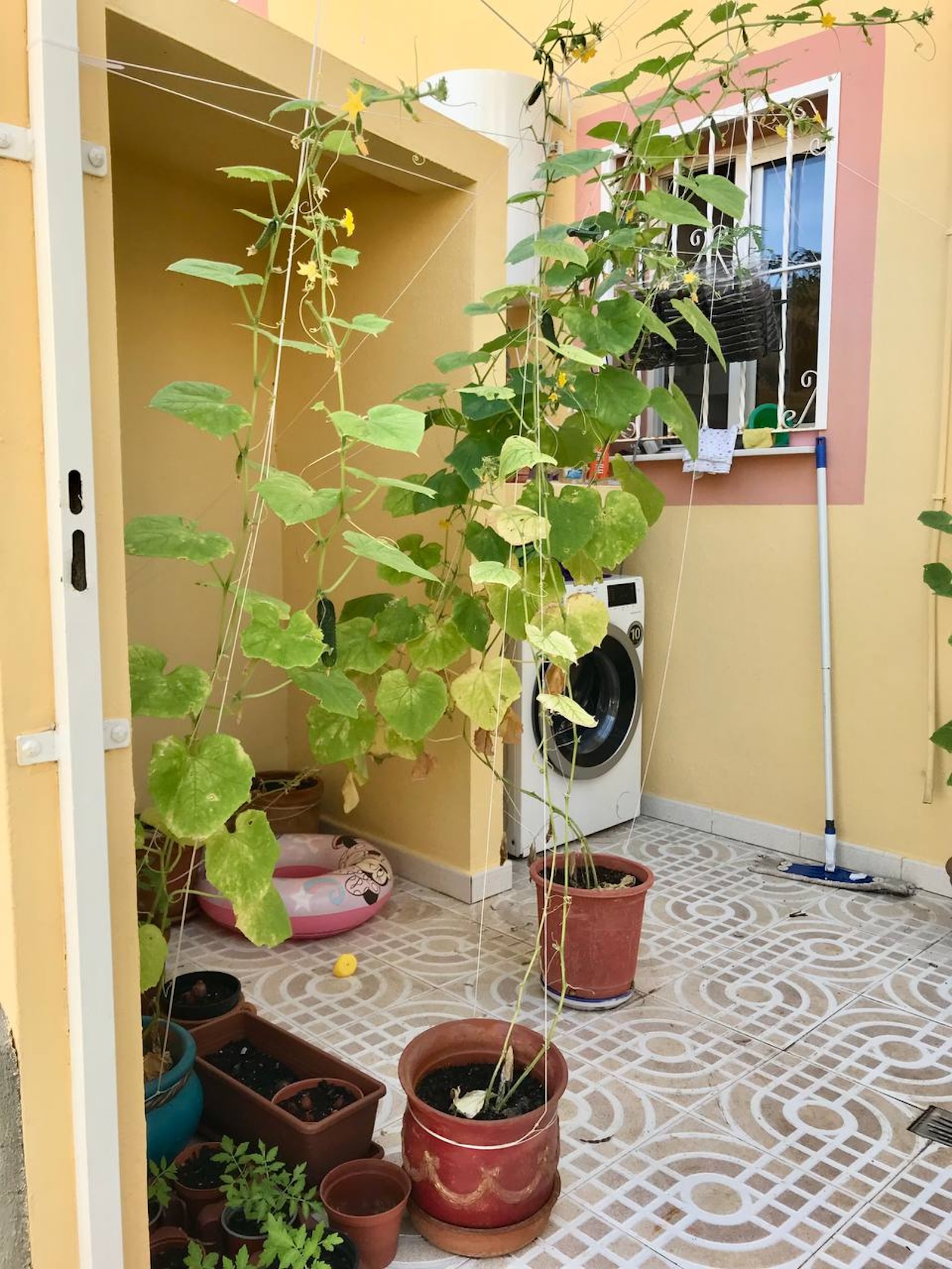 2 Bed, 2 Bath, HouseFor Sale, Villamartin, Alicante