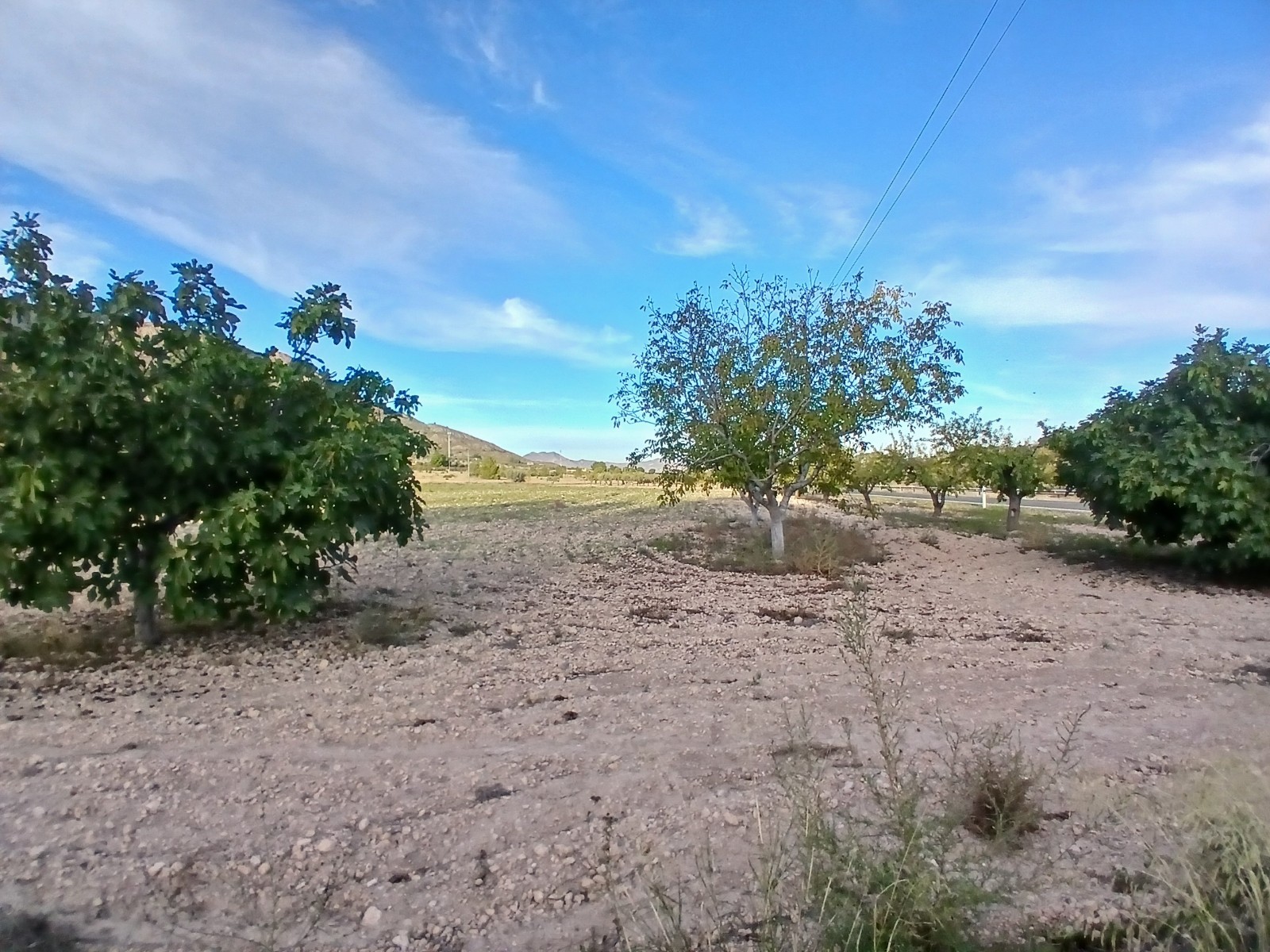 3 Bed, 1 Bath, HouseFor Sale, Yecla, Murcia