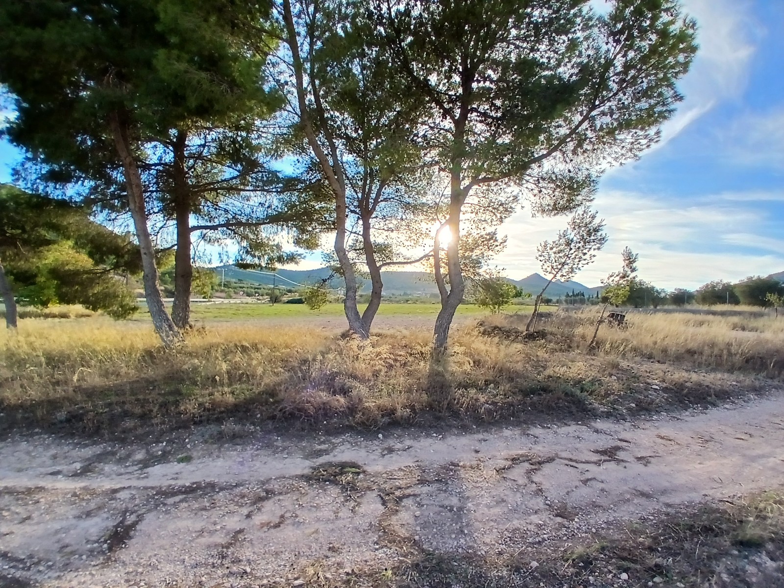 3 Bed, 1 Bath, HouseFor Sale, Yecla, Murcia