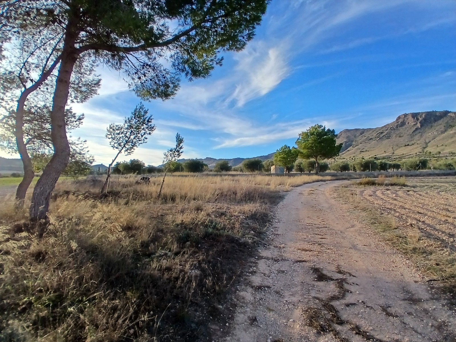 3 Bed, 1 Bath, HouseFor Sale, Yecla, Murcia