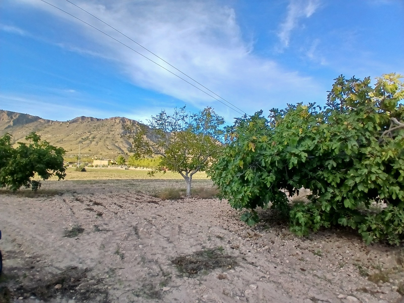 3 Bed, 1 Bath, HouseFor Sale, Yecla, Murcia