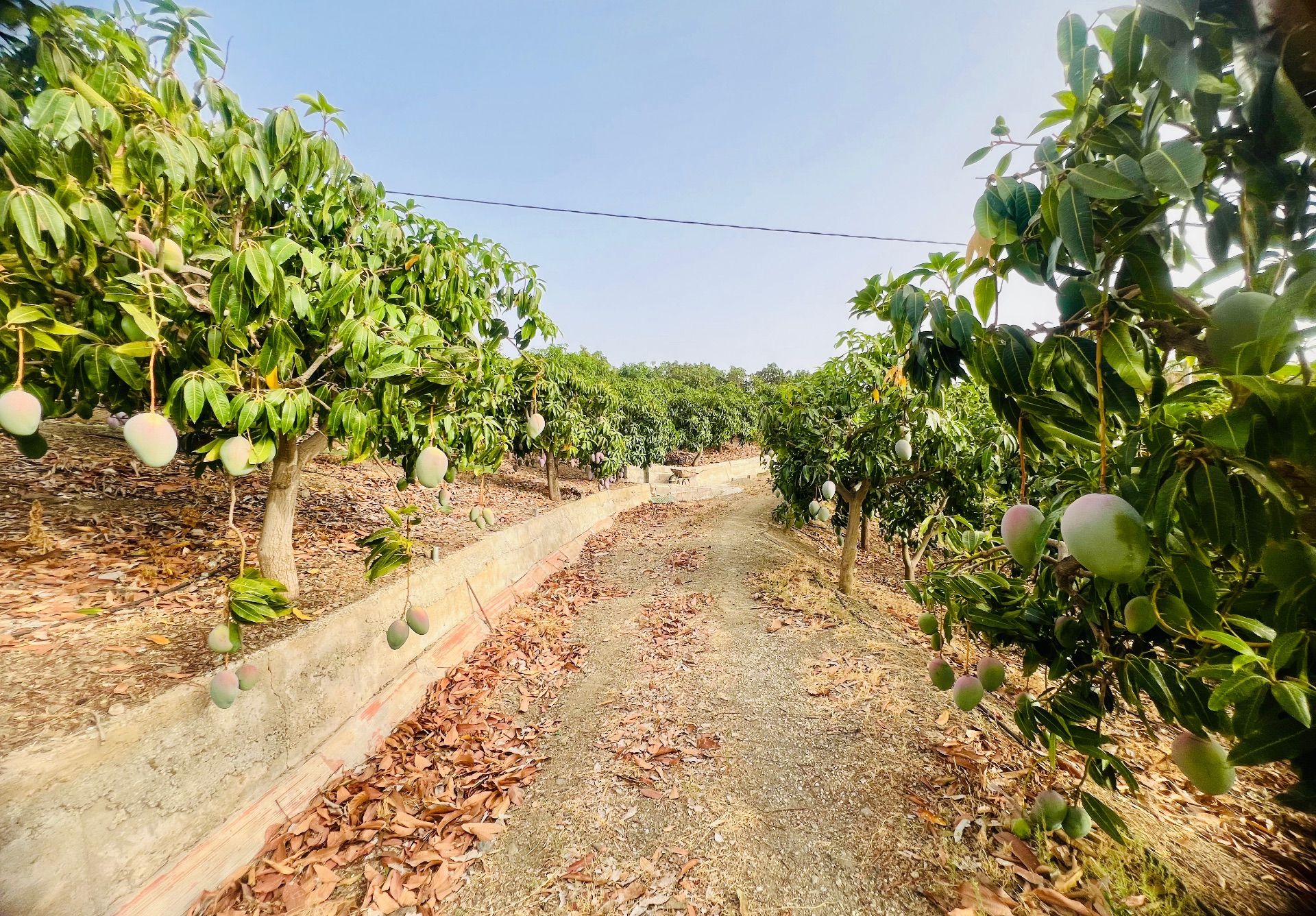 3 Bed, 1 Bath, HouseFor Sale, Almayate Bajo, Malaga, 29749