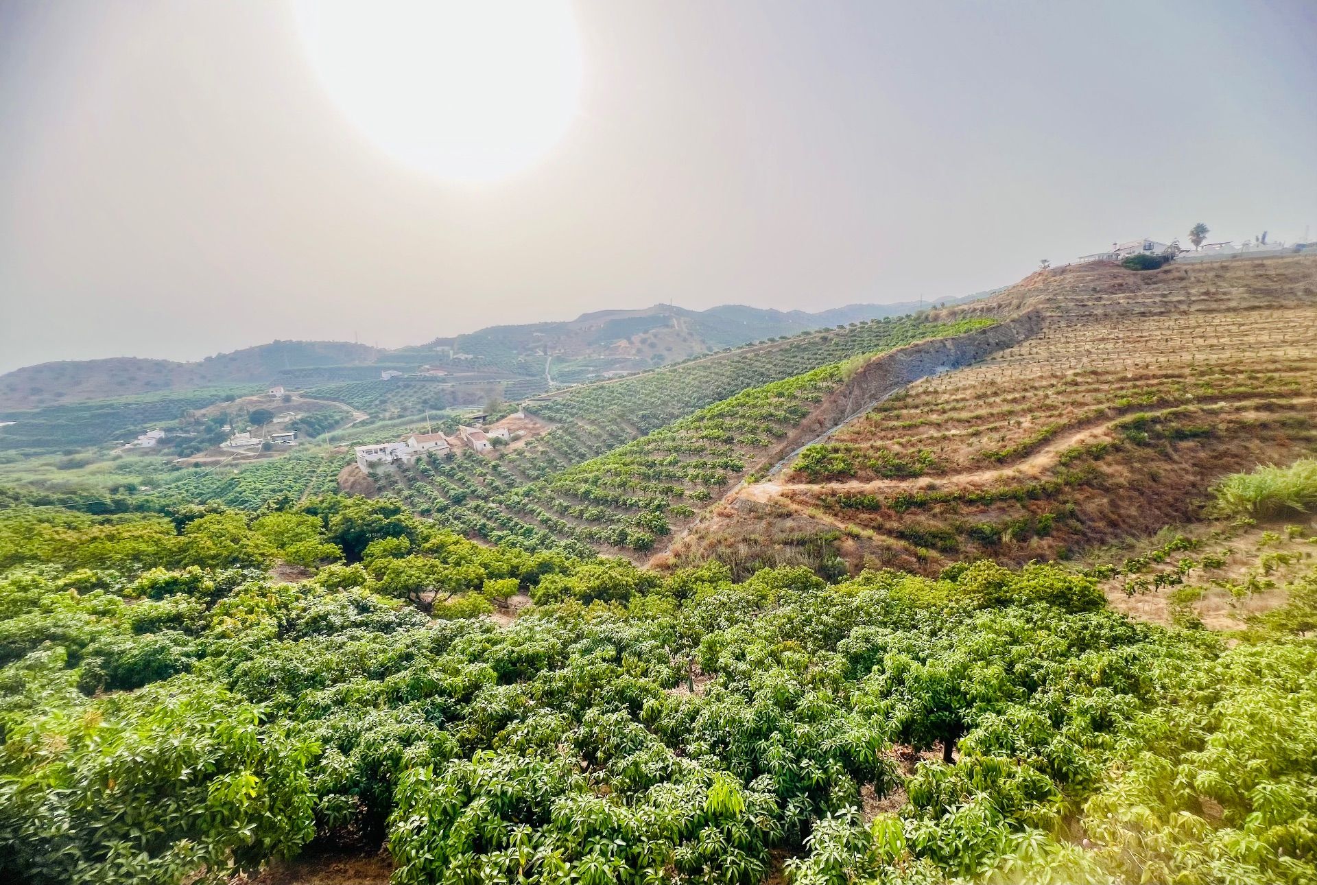 3 Bed, 1 Bath, HouseFor Sale, Almayate Bajo, Malaga, 29749