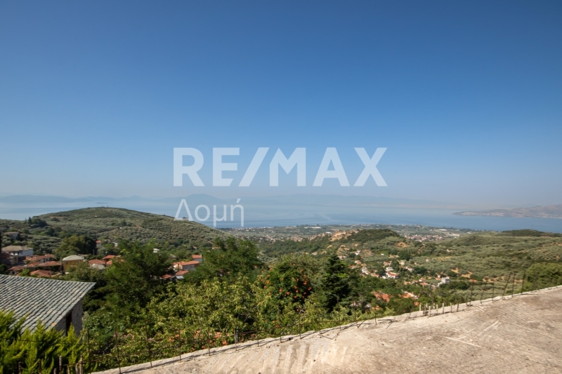 4 Bed, 4 Bath, ApartmentFor Sale, Agios Vlasios, Artemida, Magnesia