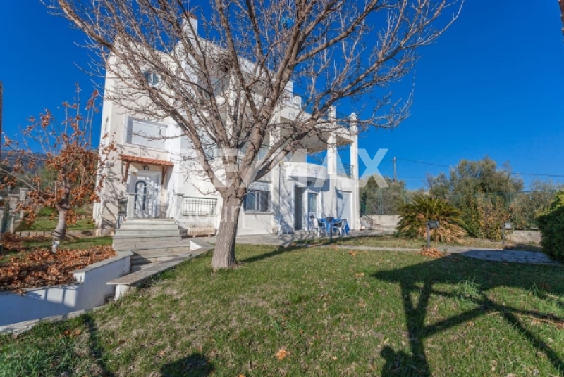 4 Bed, 2 Bath, HouseFor Sale, Marathos, Nea Agchialos, Magnesia