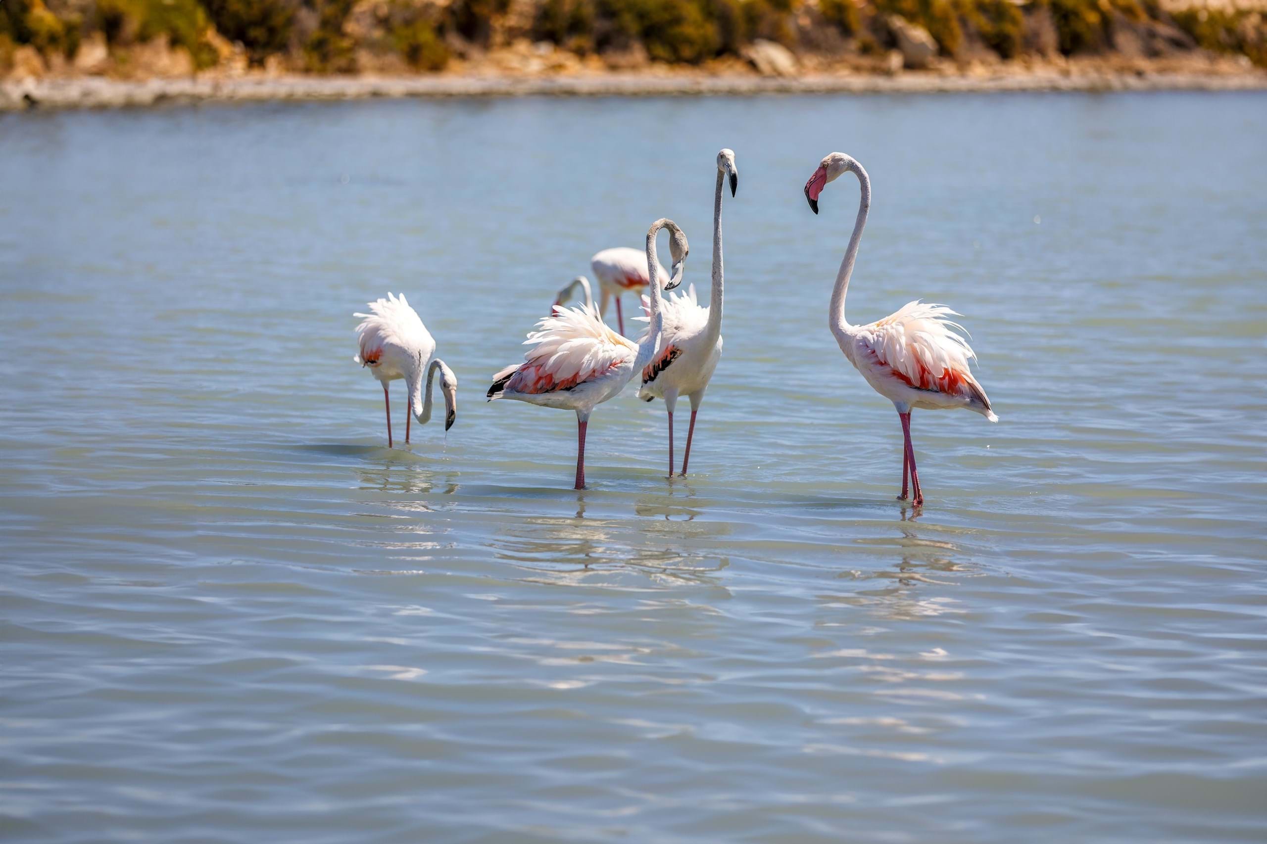 3 Bed, 2 Bath, HouseFor Sale, Caldas da Rainha, Leiria, 2500-568