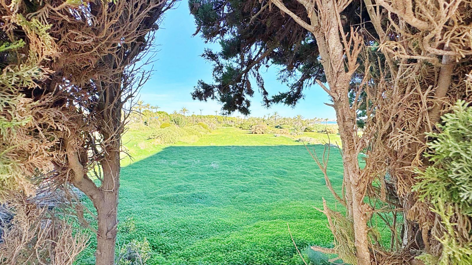 1 Bed, 1 Bath, ApartmentFor Sale, Torrevieja, Alicante