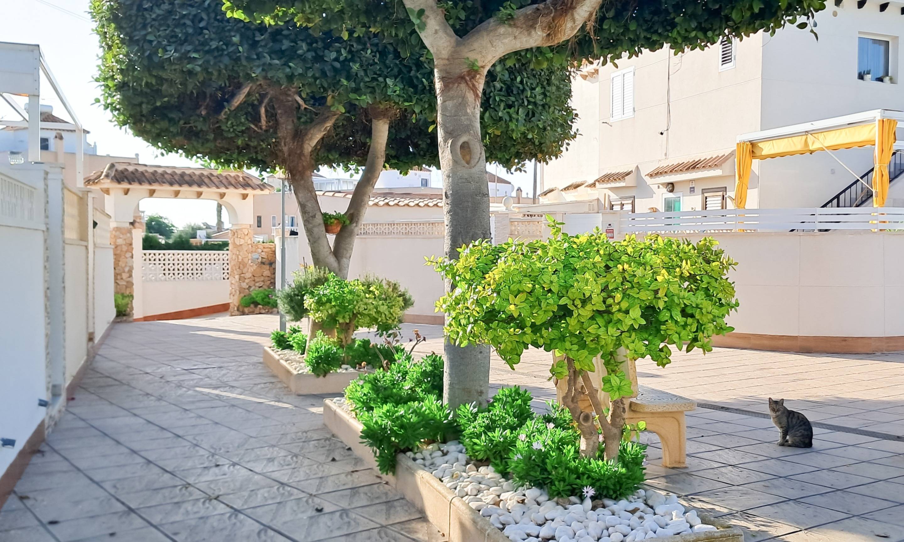 1 Bed, 1 Bath, ApartmentFor Sale, Torrevieja, Alicante