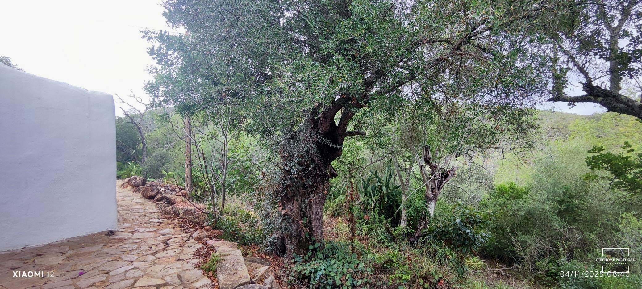 2 Bed, 1 Bath, HouseFor Sale, Loulé, Faro, 8100-109