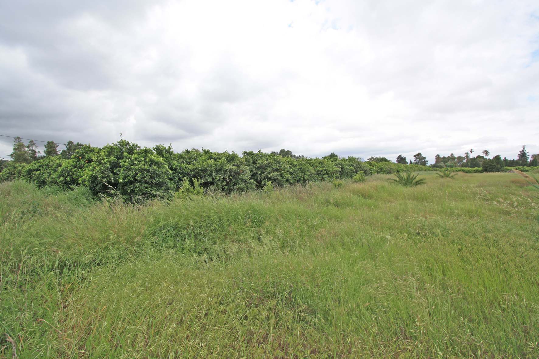 Land, For Sale