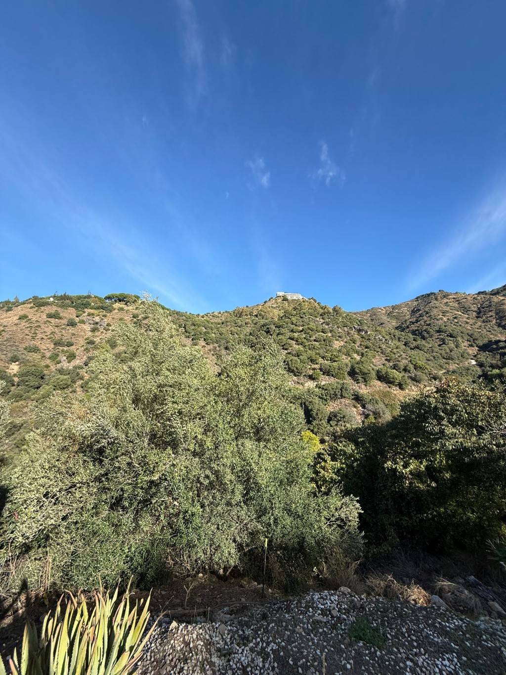 Commercial Property, For Sale