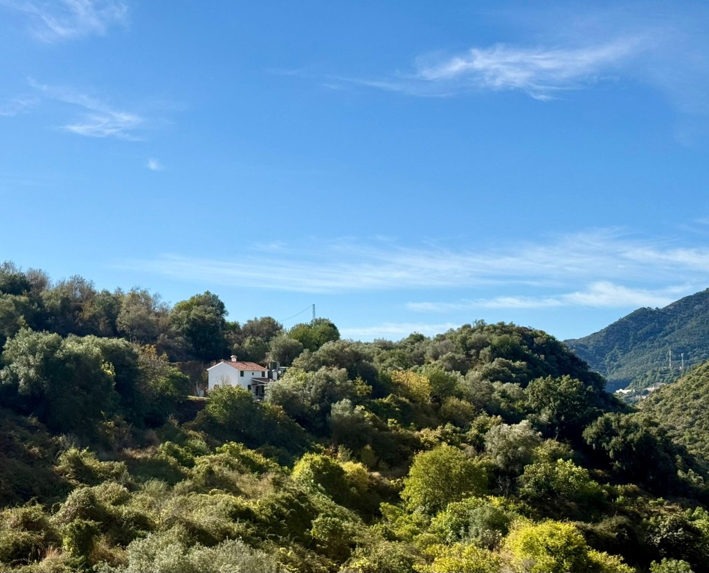 Commercial Property, For Sale