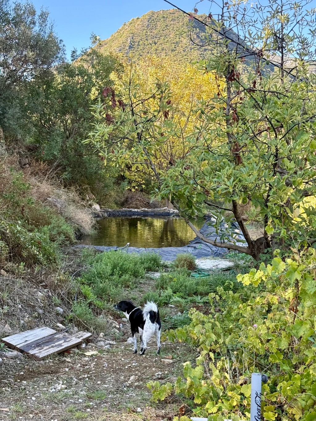 Commercial Property, For Sale