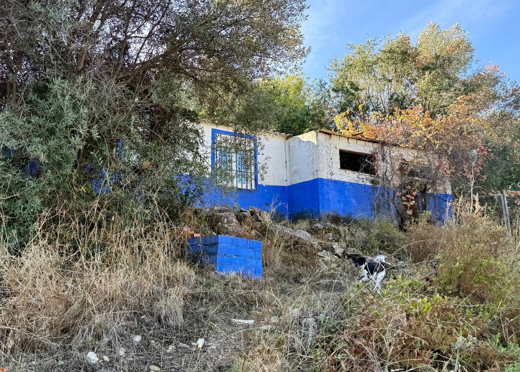 Commercial Property, For Sale