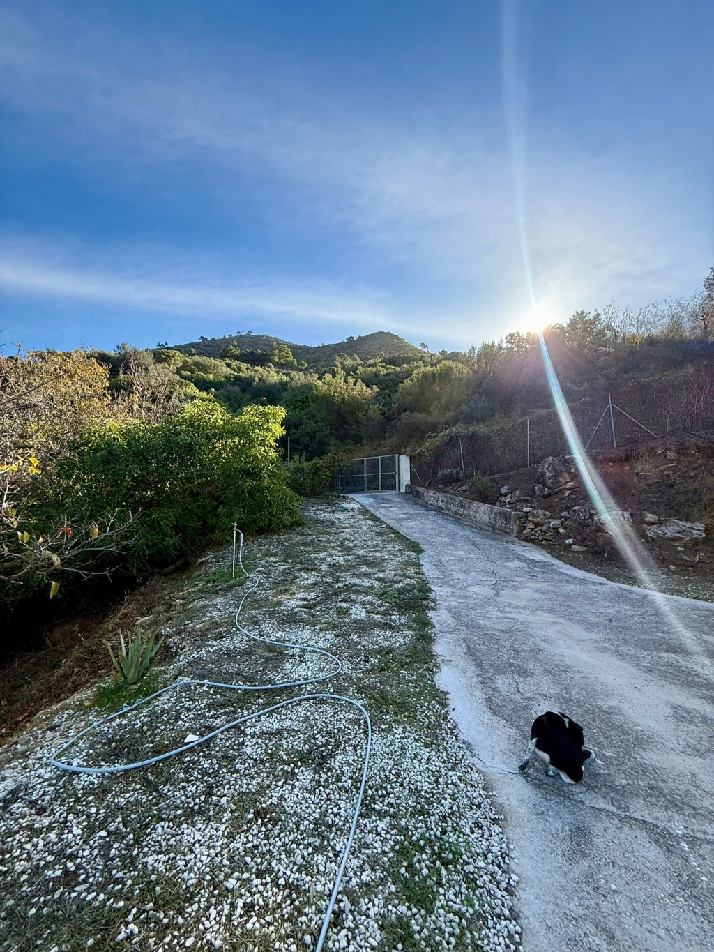 Commercial Property, For Sale