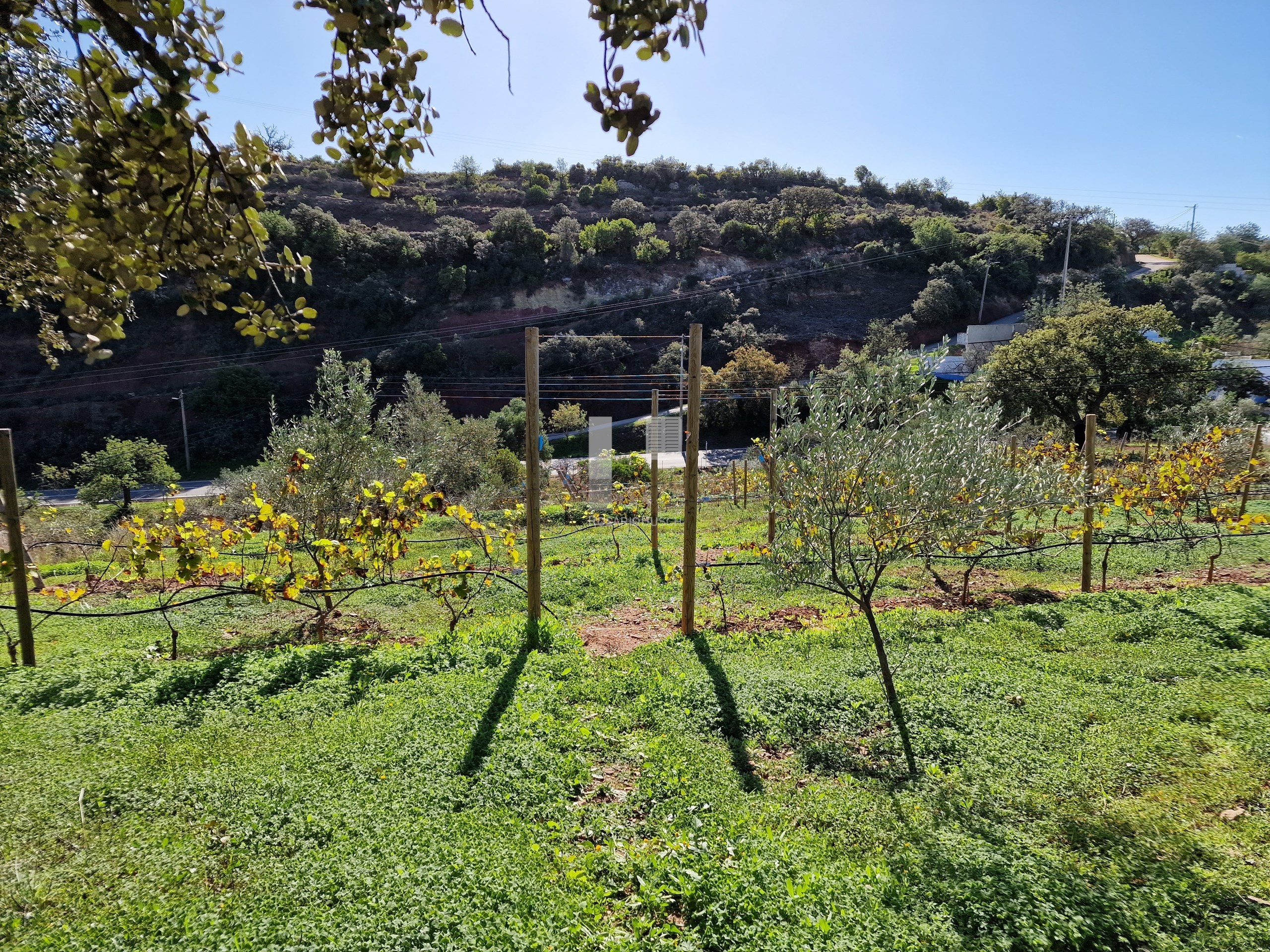 3 Bed, 2 Bath, HouseFor Sale, Tavira, Faro, 8800