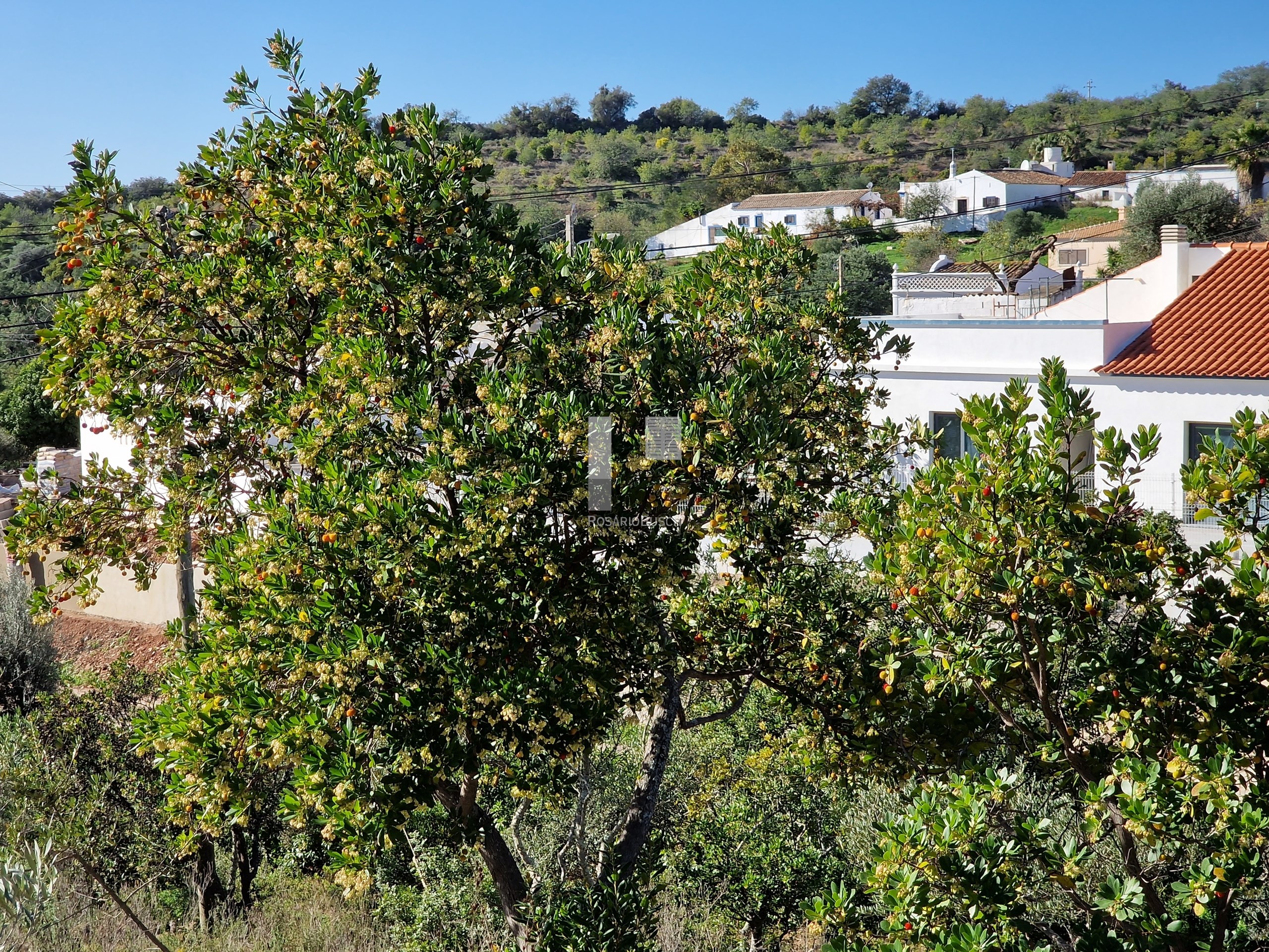 3 Bed, 2 Bath, HouseFor Sale, Tavira, Faro, 8800