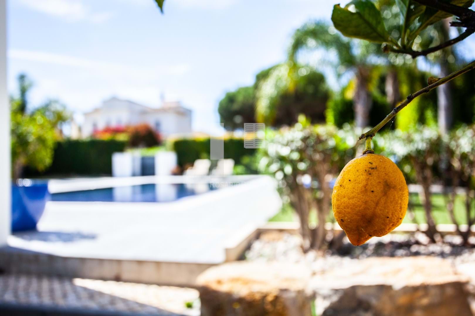 4 Bed, 7 Bath, HouseFor Sale, Loulé, Faro