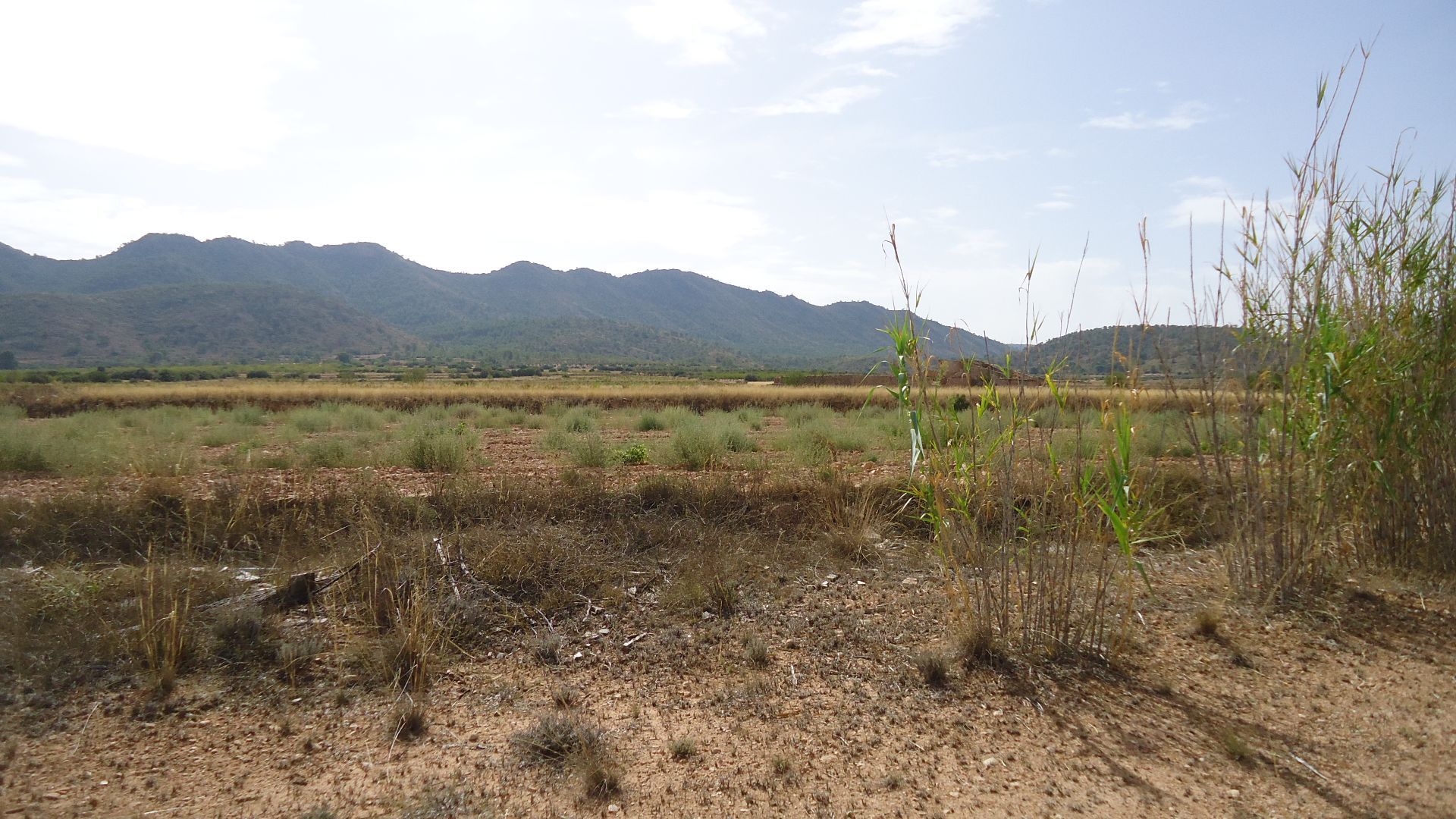 3 Bed, 2 Bath, HouseFor Sale, Yecla, Murcia