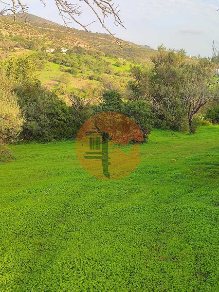 3 Bed, 1 Bath, HouseFor Sale, Faro, Faro