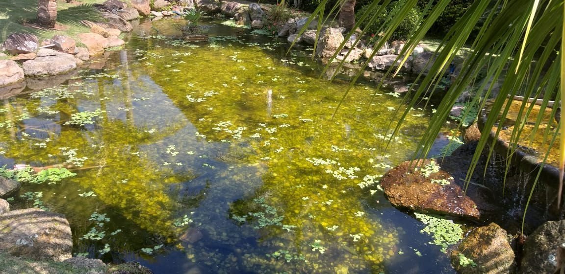 4 Bed, 4 Bath, HouseFor Sale, Santa Catarina, Taquara, 88333-030