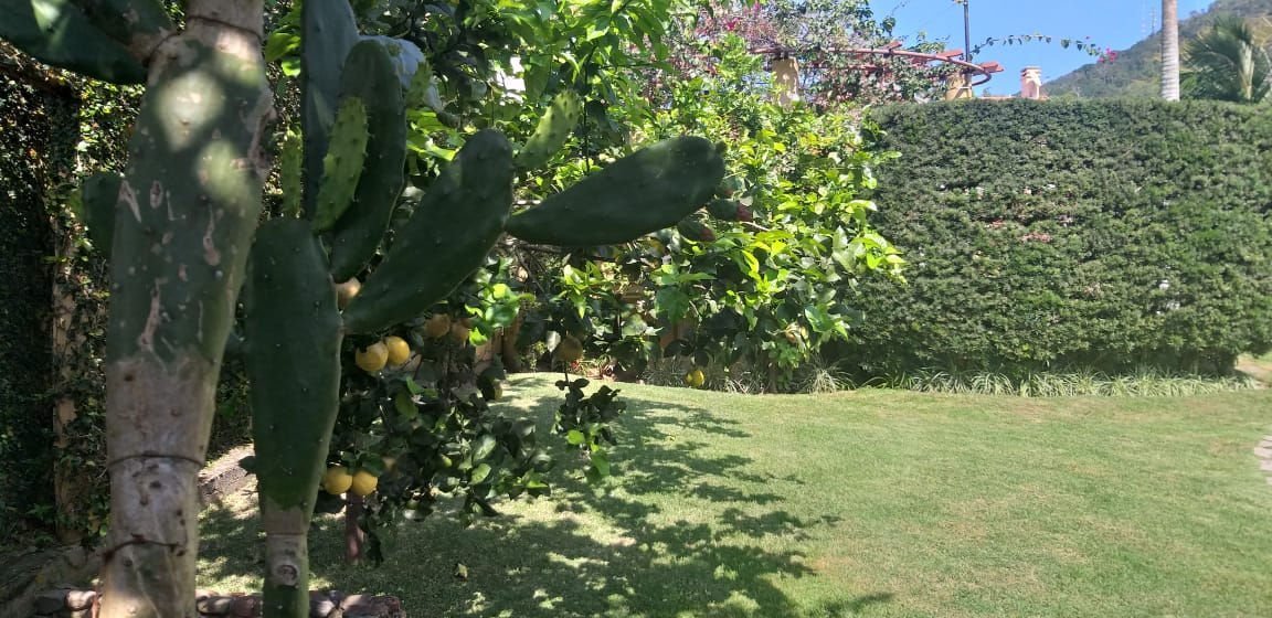 4 Bed, 4 Bath, HouseFor Sale, Santa Catarina, Taquara, 88333-030