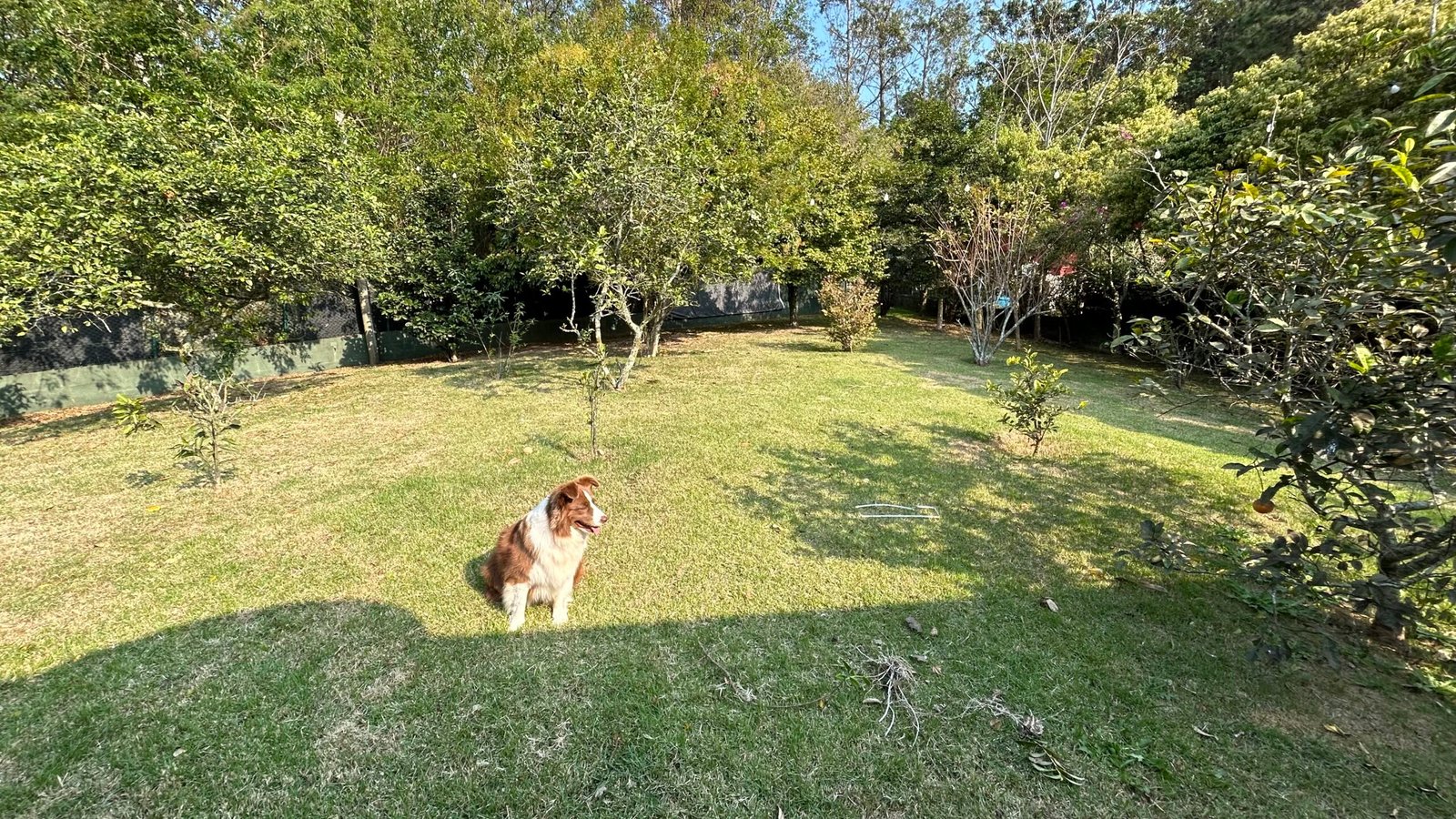 6 Bed, 5 Bath, HouseFor Sale, João Paulo, Santa Catarina, 88030-540