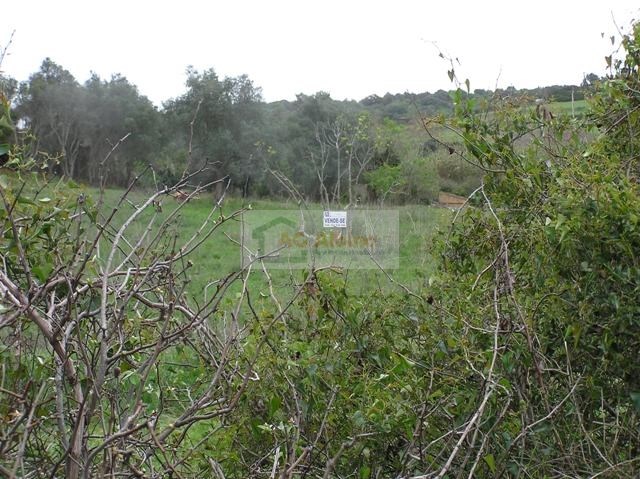 Land, For Sale