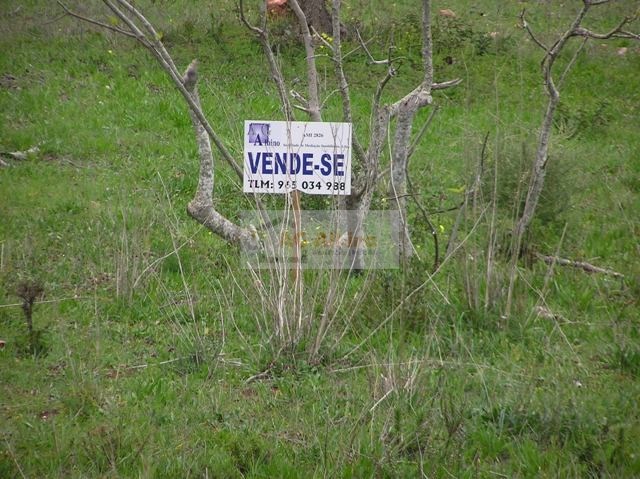 Land, For Sale