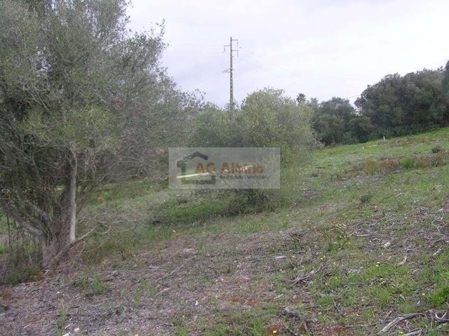 Land, For Sale