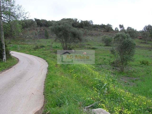 Land, For Sale