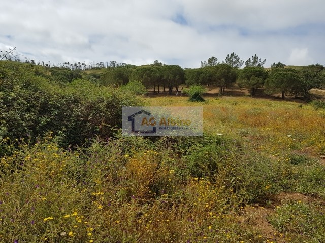 Land, For Sale