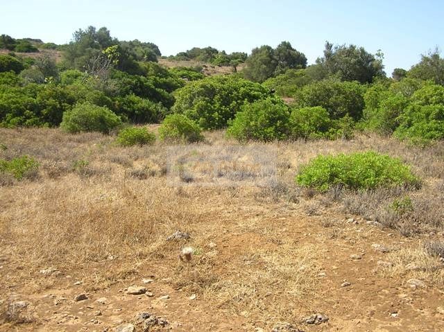 Land, For Sale