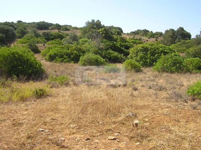 Land, For Sale
