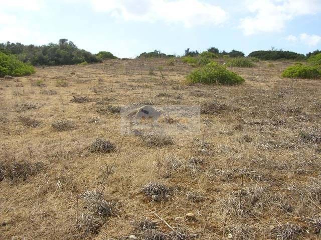 Land, For Sale