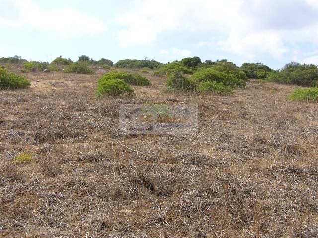 Land, For Sale