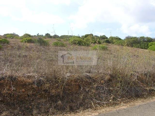 Land, For Sale