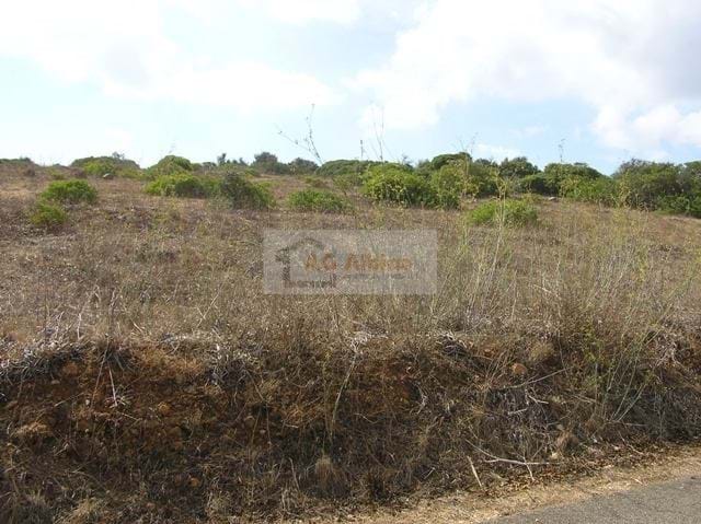 Land, For Sale