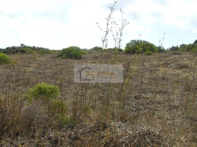 Land, For Sale