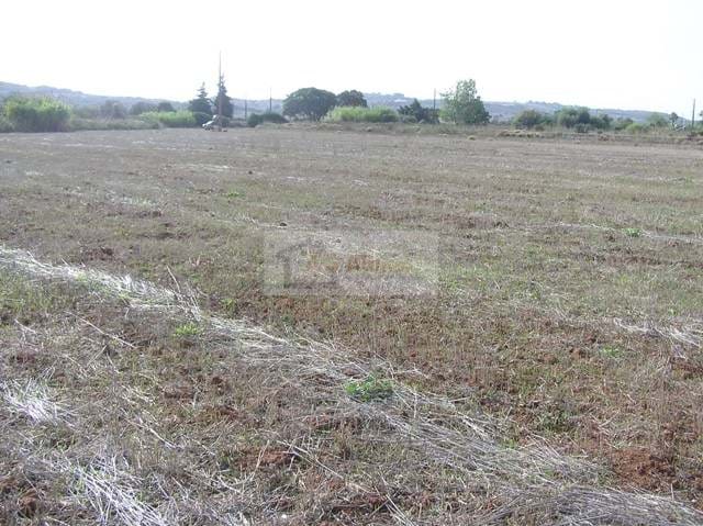 Land, For Sale