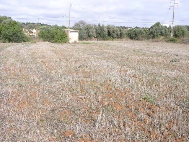 Land, For Sale