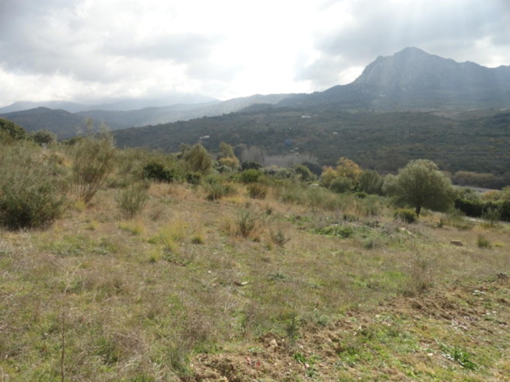 Commercial Property, For Sale