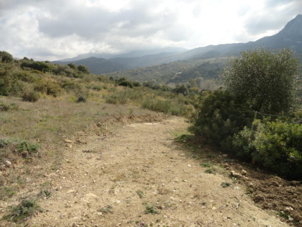 Commercial Property, For Sale